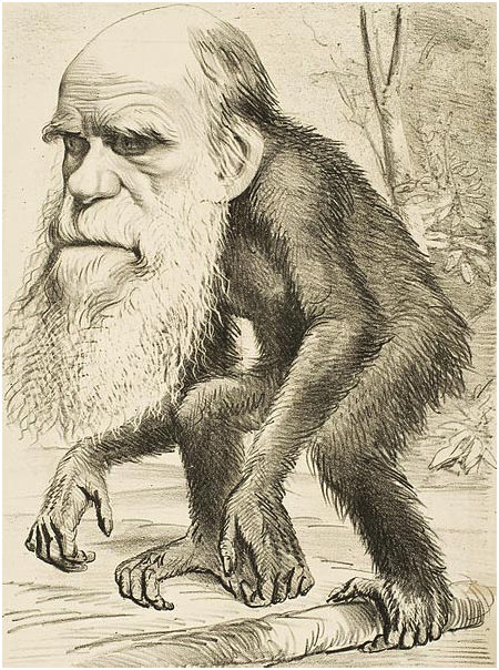 نظرية داروين