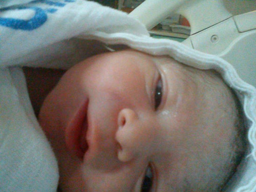 ايليا بشارة