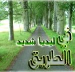 في الطريق
