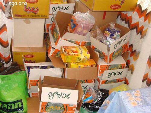 Back to Jerusalem 2010