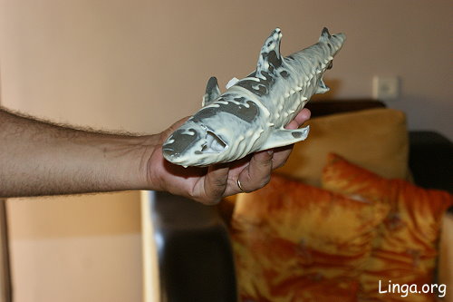 رموز للشعوذه داخل تمثال للقديسة مريم في الناصرة