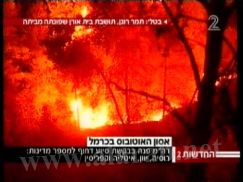 حريق هائل في جبل الكرمل