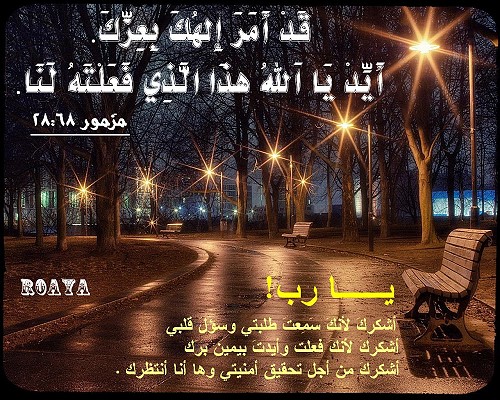 آيات من رؤيا سوطي