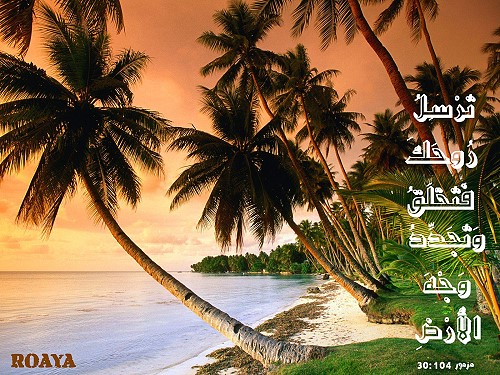 آيات من رؤيا سوطي