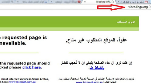 السعودية تحجب أقسام من موقع لينغا