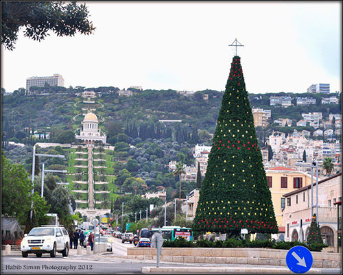 شجرة الميلاد في شارع بن غوريون في حيفا