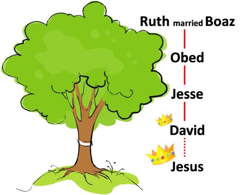 سلسلة نسب مختصرة تبين العلاقة بين الرب يسوع بالجسد وبين بوعز وداود