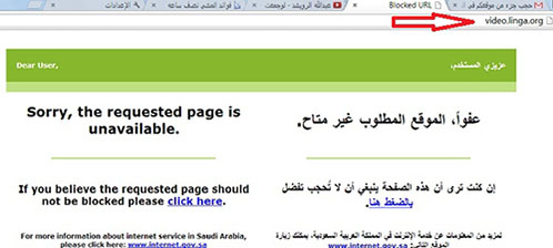 The Kingdom of Saudi Arabia blocked certain parts of your Linga website