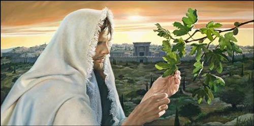 † † لمــــــاذا لعَــــــنَ الســـيد المســــــيح شــــــجرةِ التيــــــن ؟ † † Jesus-and-the-fig-tree_