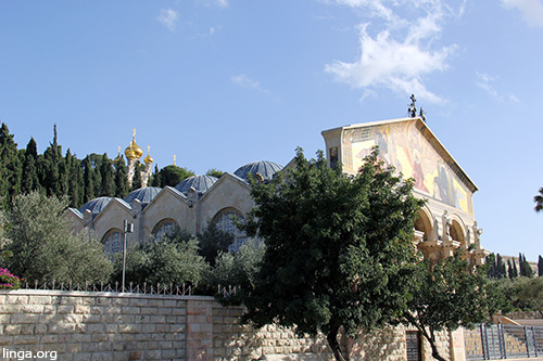 ‫كنيسة جثسيماني‬‎ في اورشليم