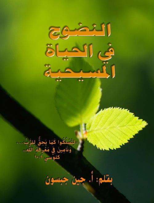 النضوج في الحياة المسيحية