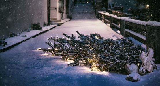تحت ظلال الحرب: عيد الميلاد وقرار الإلغاء