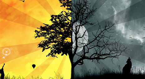 Linga - معرفة الخير والشر