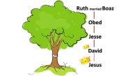 الأسلوب الخامس عشر: أسلوب شجرة العائلة أو سلسلة النسب