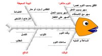 الأسلوب الثالث عشر : أسلوب مخطط عظمة السمكة (Ishikawa)