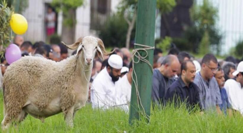 الأضحى.... رموز ودلالات وعبر ومعان - وفديناه بذبح عظيم